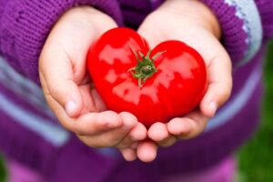 Child's hands holding a heart shaped tomato.